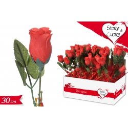 ROSA ROSSA IN DISPLAY 48PZ