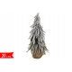 ALBERO INNEVATO S