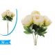 BUSH PEONIA