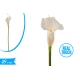 CALLA GOMMA BIANCA 49CM