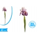 IRIS GOMMA VIOLA 42CM