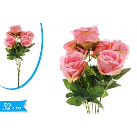 BUSH ROSE