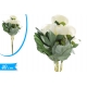 BUSH PEONIA