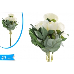 BUSH PEONIA