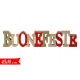 SCRITTA 'BUONE FESTE'