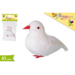 COLOMBA BIANCA