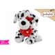 DALMATA C/CUORE