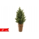 ALBERO C/VASO M