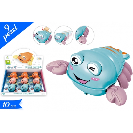 ARAGOSTA ASS. IN DISPLAY