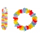 *COLLANA HAWAIANA
