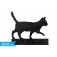 APPENDINO GATTO
